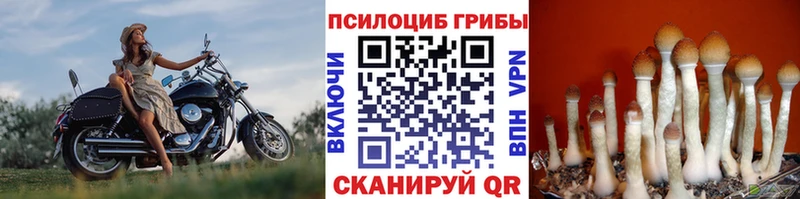 Галлюциногенные грибы прущие грибы  даркнет сайт  OMG ссылка  Каменск-Уральский 